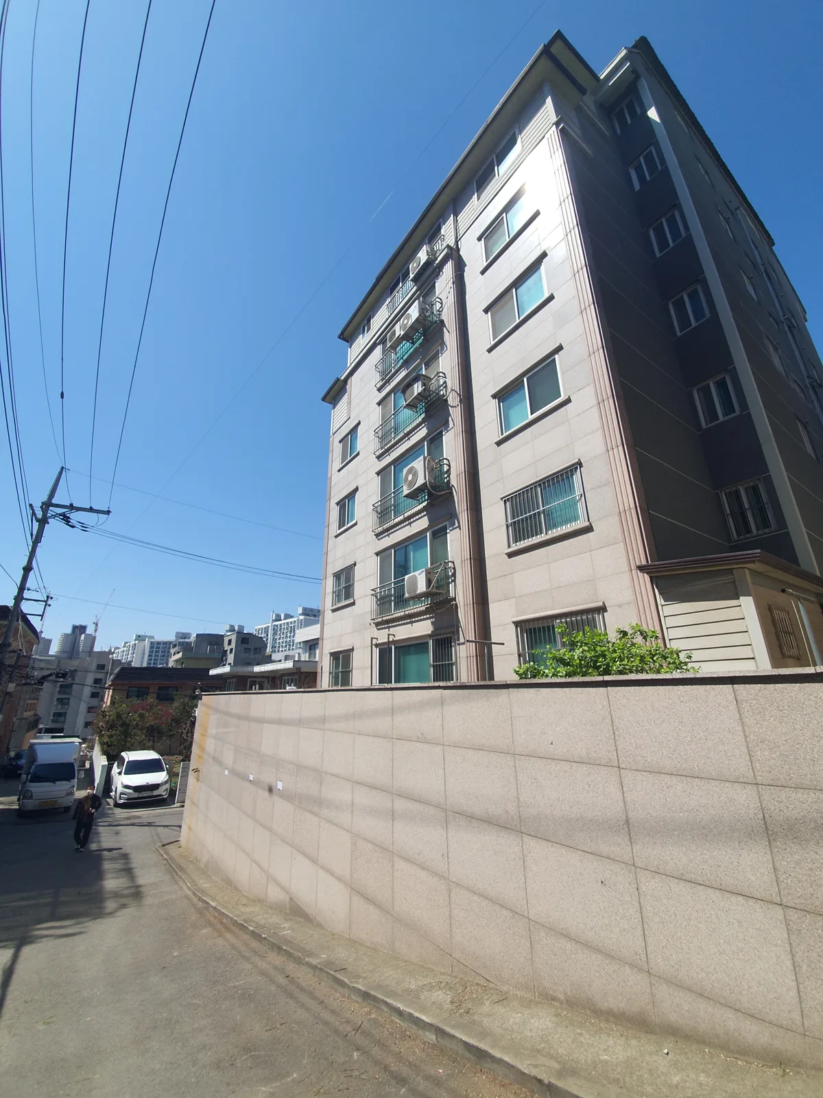 제한 공간 대형소나무벌목